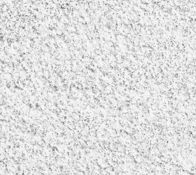 Petit mur blanchâtre à grains