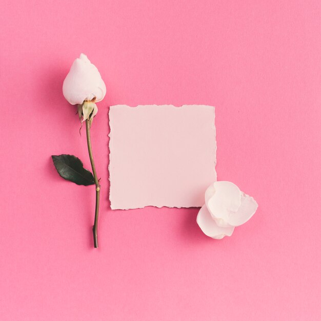 Petit papier blanc avec une fleur blanche sur la table