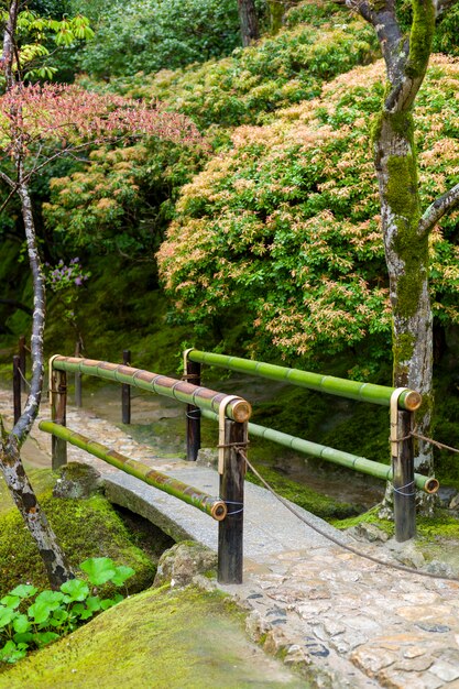 petit pont de bambou à l&#39;automne au japon