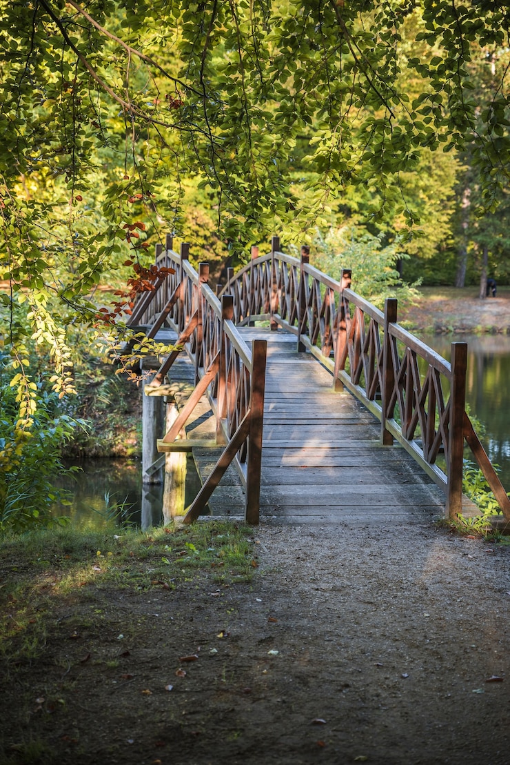 Photo gratuit petit pont dans le parc branitz