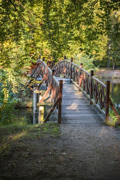 Petit pont dans le parc Branitz