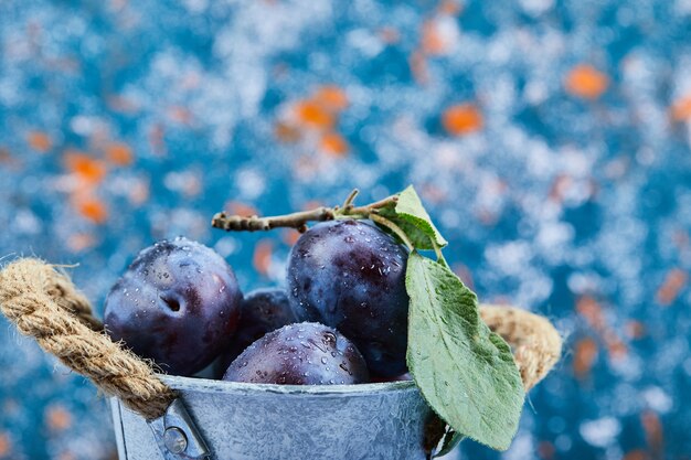 Petit seau de prunes mûres sur fond bleu