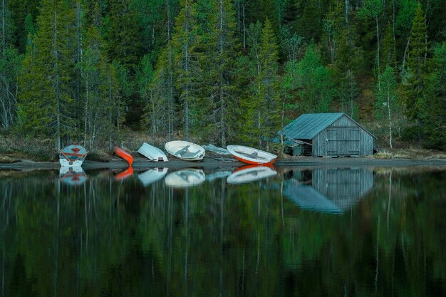 Petite cabane en bois, à côté de bateaux au bord d'un lac calme, face à une forêt verdoyante