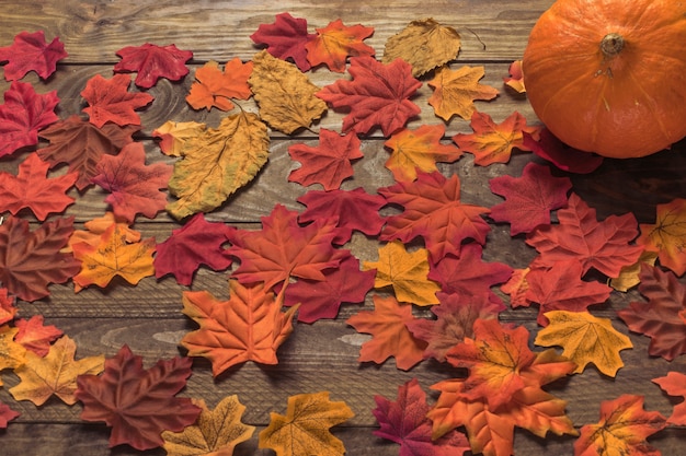 Petite citrouille sur les feuilles