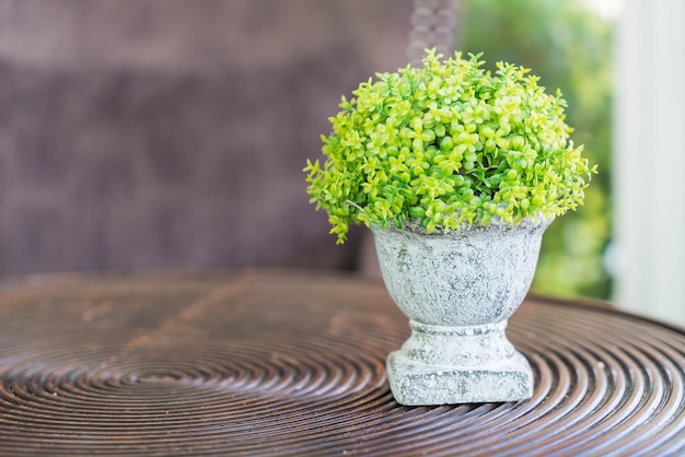 Petite décoration de pot vert sur table de bois