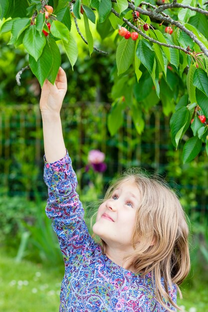 Petite fille cueillant une cerise dans le jardin