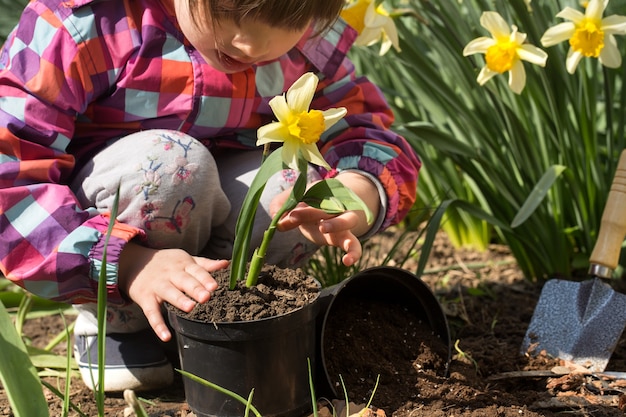 Photo gratuite petite fille plantant des fleurs dans le jardin
