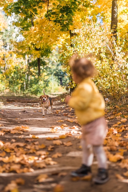 Petite fille en regardant son chien en marchant sur le sentier de la forêt