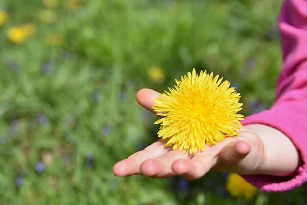 Petite fille tenant une fleur jaune