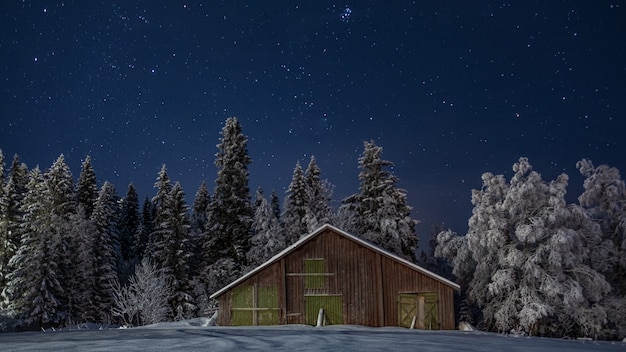 Petite maison en bois dans la forêt d'hiver pittoresque sur le ciel étoilé