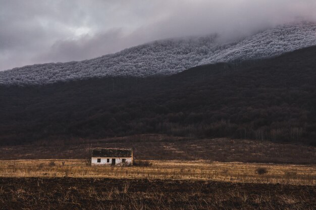 Petite maison individuelle blanche dans un champ de brouillard sur la montagne