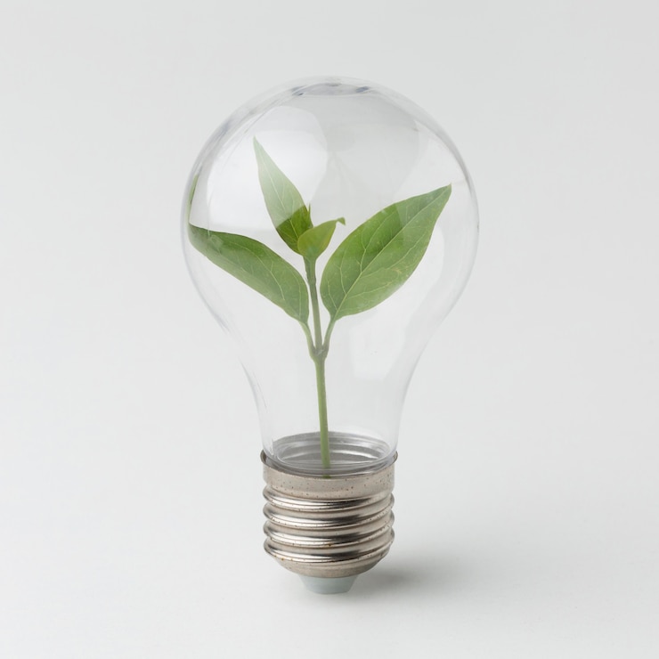 Photo gratuit petite plante à l'intérieur de l'ampoule