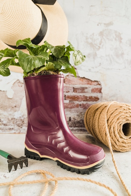 Petite plante plantée dans la botte en caoutchouc wellington pourpre avec une bobine de corde; chapeau et fourche de jardin contre mur patiné