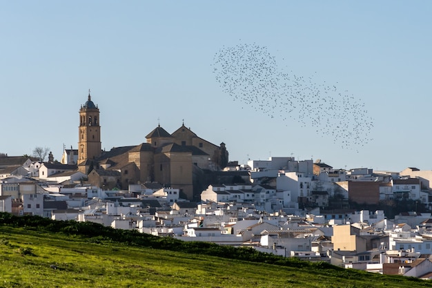 Photo gratuite petite ville à la campagne