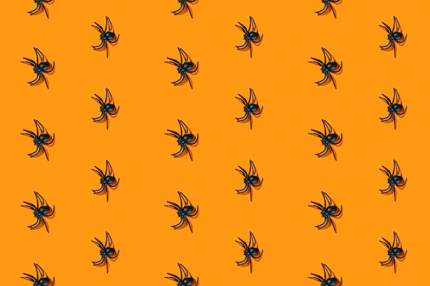 Petites araignées noires disposées en rangées