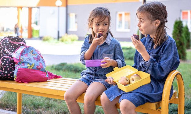 Petites écolières assises sur un banc dans la cour de l'école et mangeant dans des boîtes à lunch.