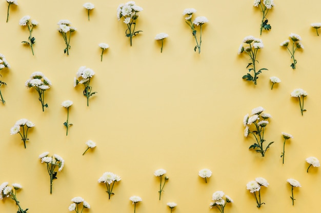 Petites fleurs blanches abstraites