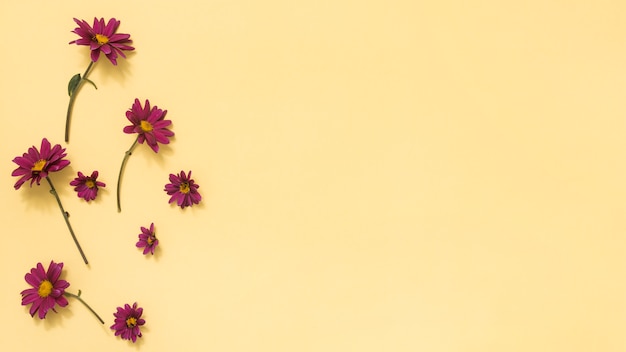 Petites fleurs roses dispersées sur la table