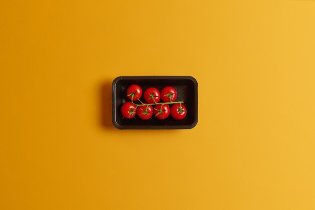 Petites tomates cerises en bonne santé sur une tige dans un récipient noir isolé sur fond jaune. De délicieux légumes pour faire du jus de tomate ou une salade d'été végétarienne. Une récolte savoureuse parfaite