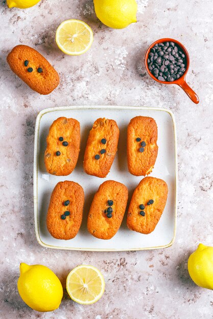 Petits biscuits français traditionnels faits maison avec du citron et des pépites de chocolat