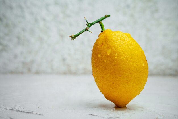 Un peu de citron avec branche sans feuilles sur fond texturé blanc, vue latérale.