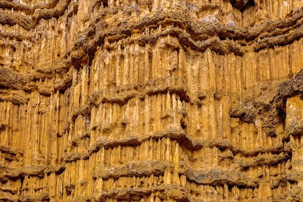 Photo gratuite pha cho, pha cho est des falaises de canyon à sol élevé dans les parcs nationaux de mae wang à chiang mai, en thaïlande. incroyable thailande.