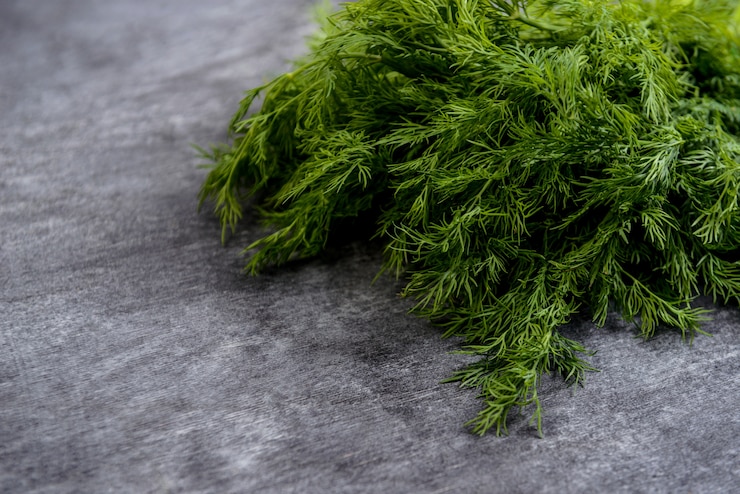 Photo gratuit photo d'aneth vert sur table grise