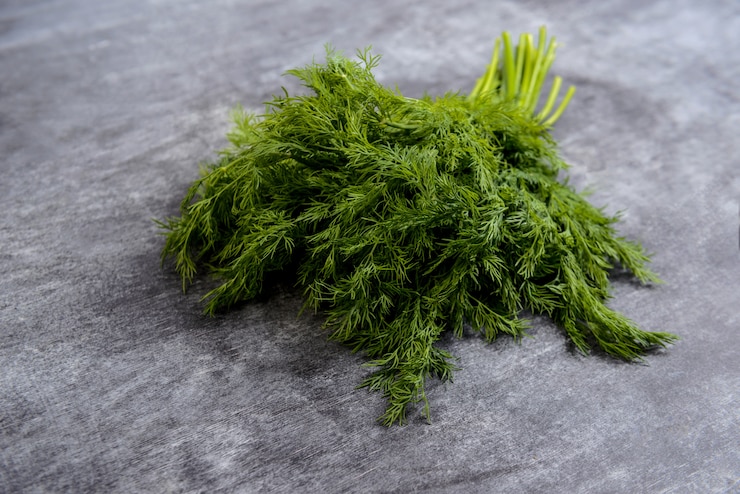 Photo gratuit photo d'aneth vert sur table grise