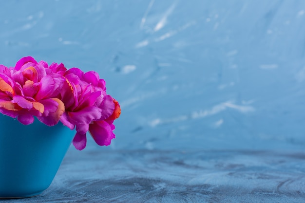 Photo de belles fleurs violettes dans un vase sur bleu.