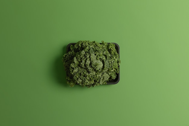 Photo de chou de Savoie cru frais ou salade cultivée en serre sur plateau noir isolé sur fond vert. Concept de récolte, de nourriture, d'agriculture et de légumes. Produit comestible fraîchement récolté