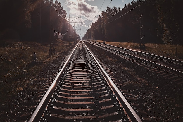 Photo en contre-plongée de rails et de traverses, avec une forêt profonde autour. Il y a une belle journée ensoleillée.