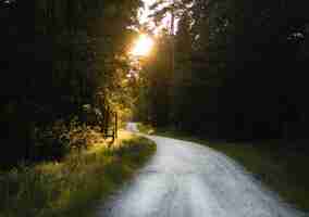 Photo gratuite photo à couper le souffle d'une route étroite à travers une forêt