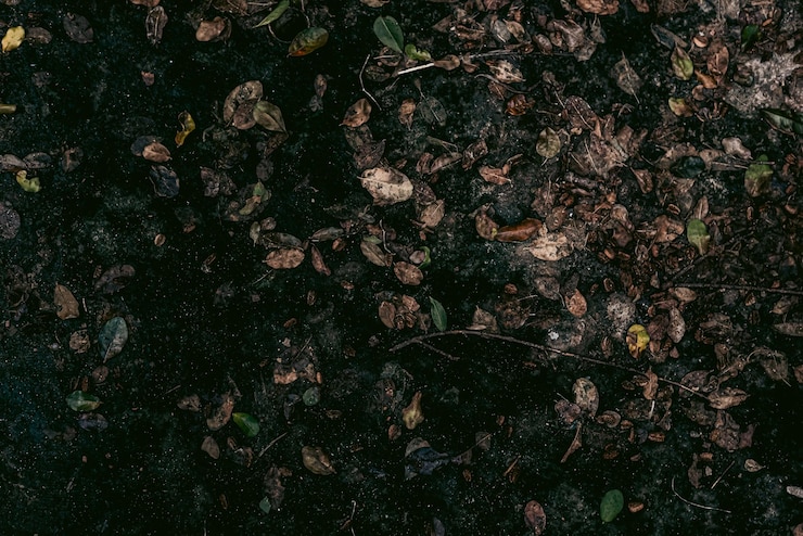 Photo gratuit photo du motif de texture du sol
