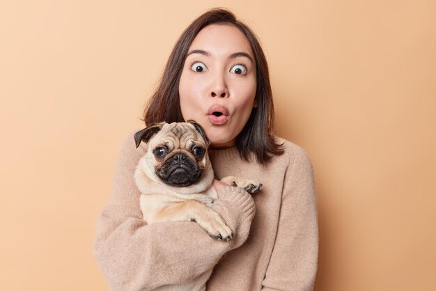 La photo d'une femme asiatique choquée regarde avec des yeux pleins de peur porte un chien carlin sur les mains ne peut pas croire en quelque chose de surprenant porte un pull décontracté isolé sur fond beige. Les gens et les animaux de compagnie