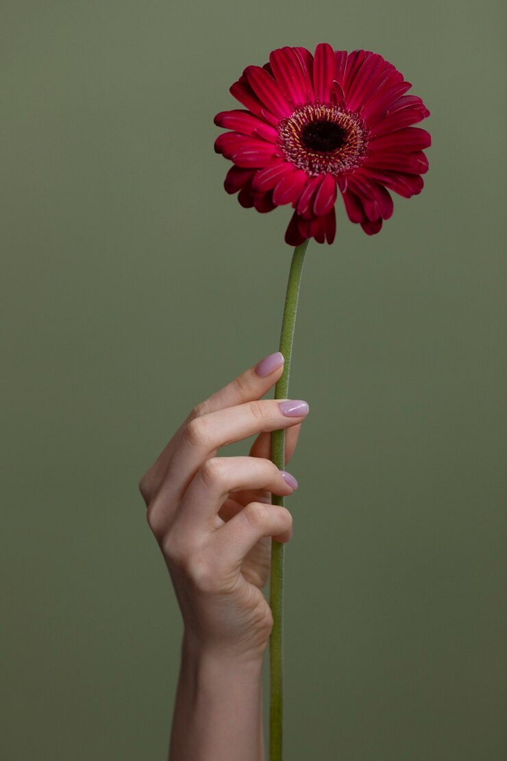 Photo gratuit photo de fleur délicate