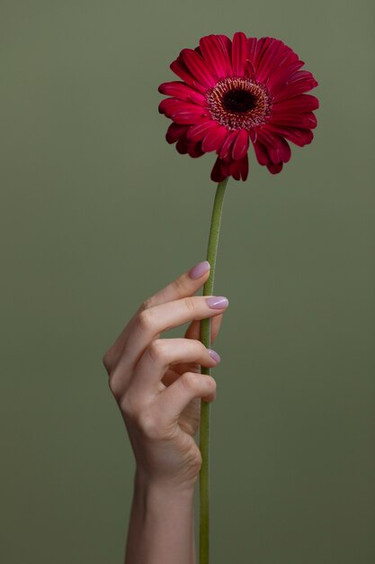 Photo de fleur délicate
