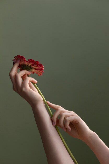 Photo de fleur délicate