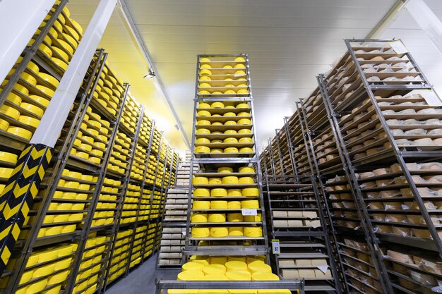 Photo d'une fromagerie en Suisse Fromage italien typique Parmigiano Reggiano Des milliers de formes de Parmigiano Reggiano dans le plus grand stockage de parmesan Formes d'affinage du fromage