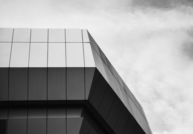 Photo en gamme de gris d'un bâtiment en béton