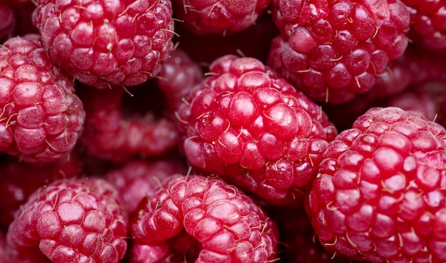 Photo macro de fond de framboise rouge