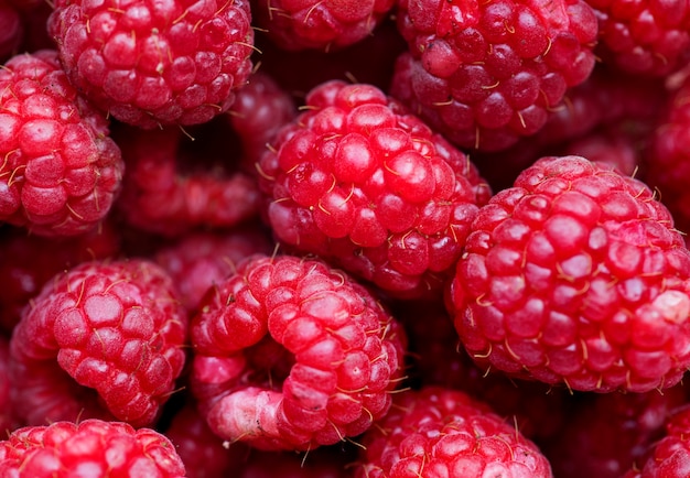 Photo macro de fond de framboise rouge