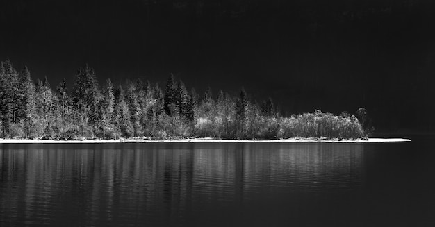 Photo en niveaux de gris d'un lac entouré d'une forêt la nuit
