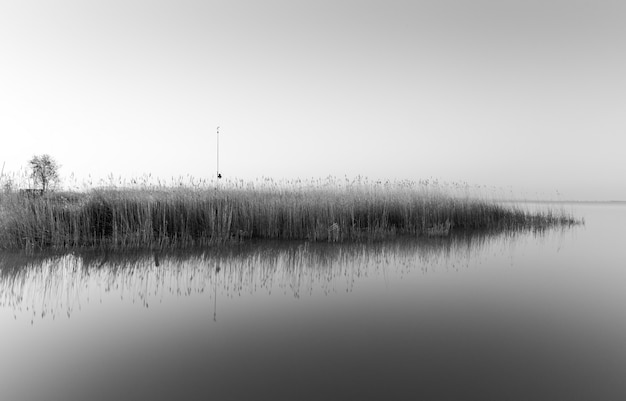 Photo en niveaux de gris d'une petite île avec beaucoup d'herbe se reflétant sur la mer