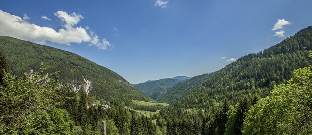Photo panoramique d'un beau paysage de la région de Charinthie en Slovénie en été