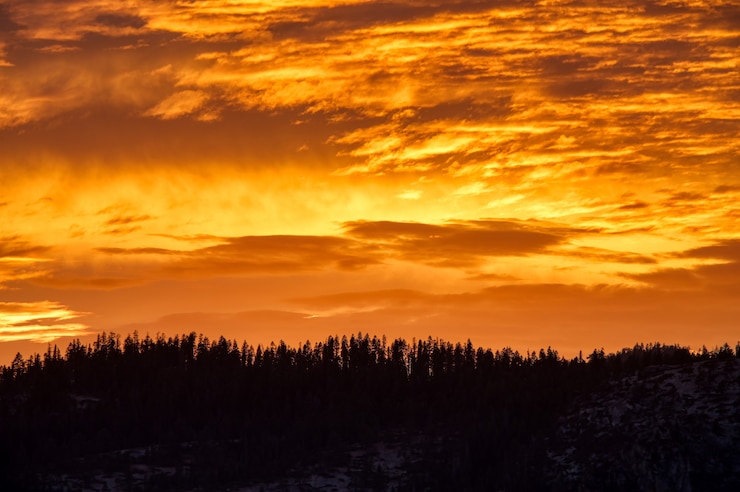 Photo gratuit photo panoramique du ciel orange au-dessus de la forêt pendant le coucher du soleil