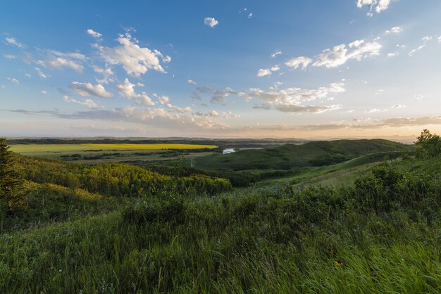 Photo de paysage de champs d'herbe et de prairies sous un ciel bleu et rose clair avec des nuages blancs