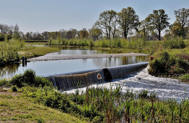 Photo de paysage d'une petite cascade rurale le jour du printemps