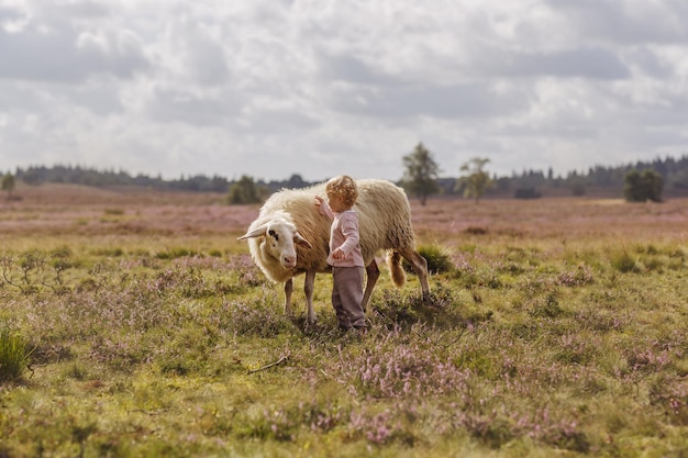 Photo de rêve d'une adorable petite fille caucasienne caressant un mouton dans une ferme