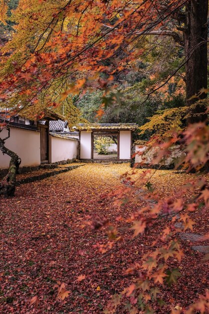 Photo verticale d'un jardin entouré d'un bâtiment blanc couvert de feuilles colorées à l'automne