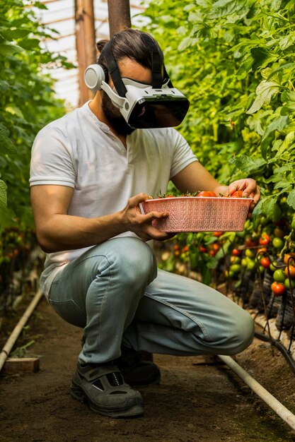 Photo verticale d'un jeune homme portant un ensemble VR et tenant un panier de tomates